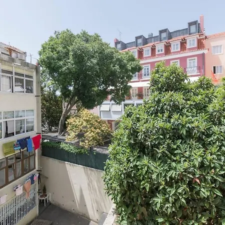 Houze 7 Bedroom Apartment In Charming Lapa Apartment